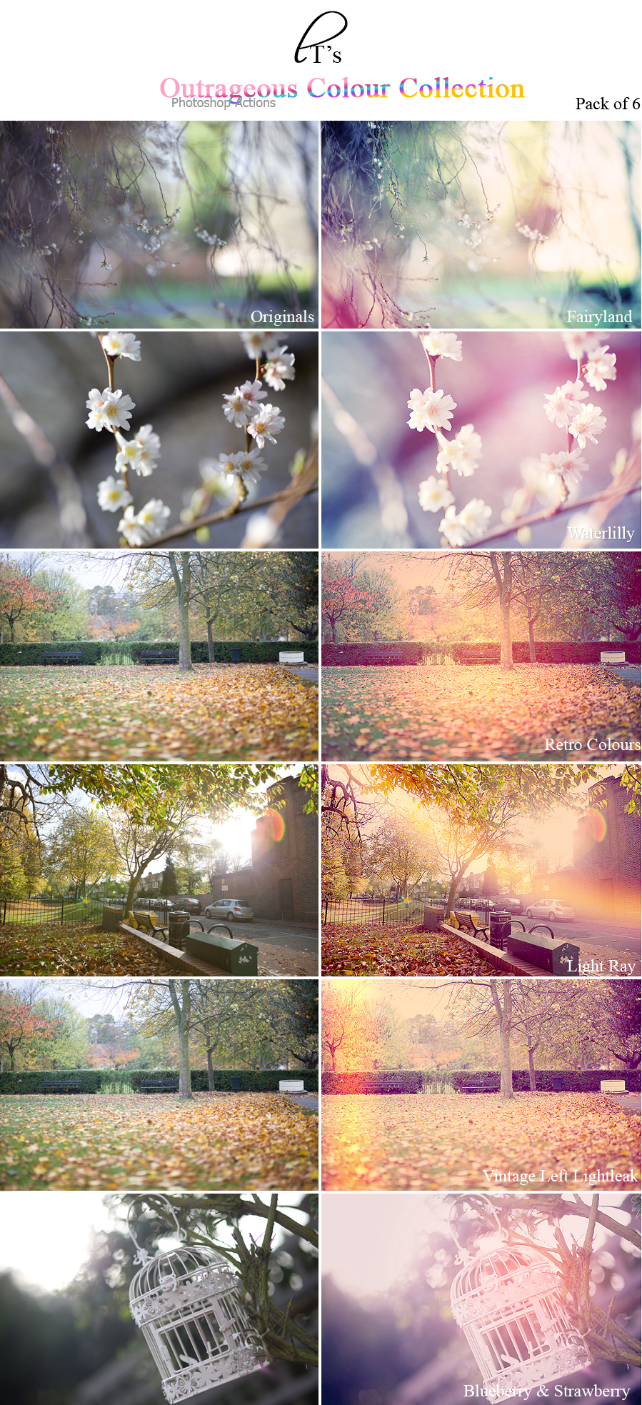 absence collection actions photoshop download