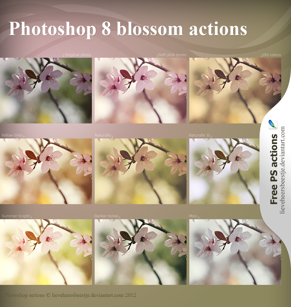 Photoshop blossom actions