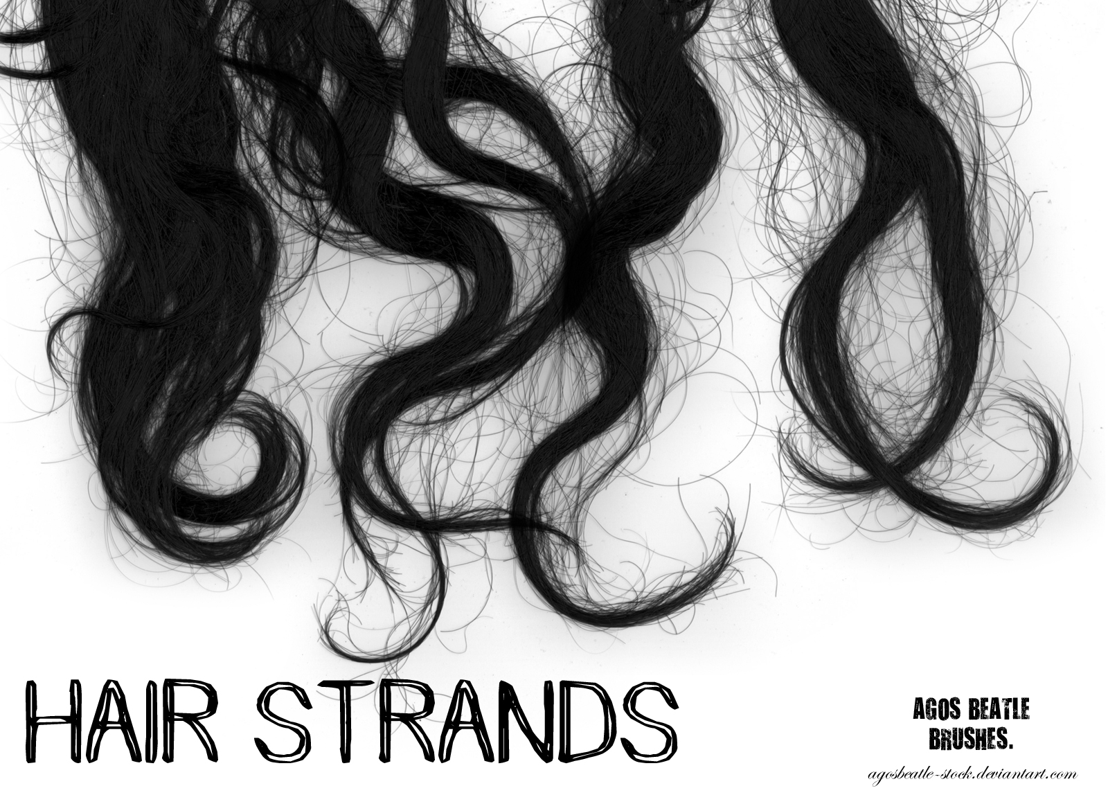 brushes__hair_strands_by_agosbeatle_stock_d1cqiq9