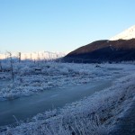 A winter scene of a "Ghost forest" that was killed and preserved by salt water along with ruined buildings at the site of the former town of Portage, 2011